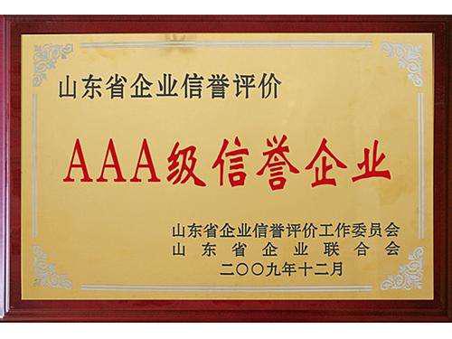 荣誉资质
